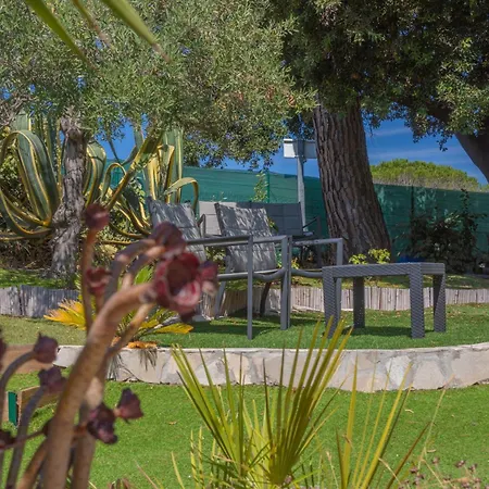 Pinede Romane Frejus